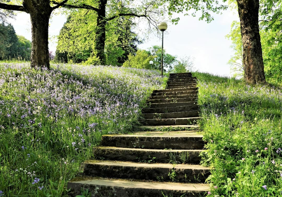 Interesse an der Assetklasse